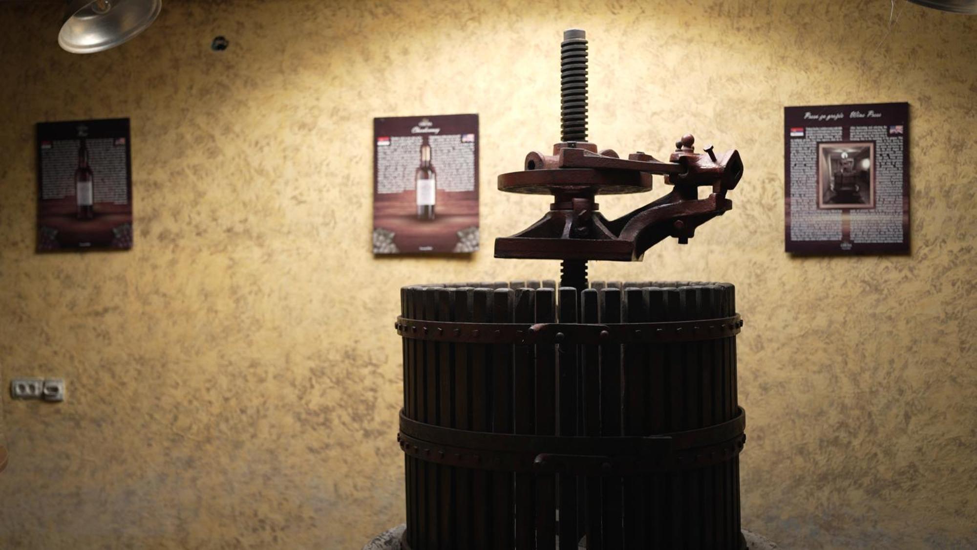 Garni Hotel Chicha - Winery Skrbic Belgrad Exteriör bild