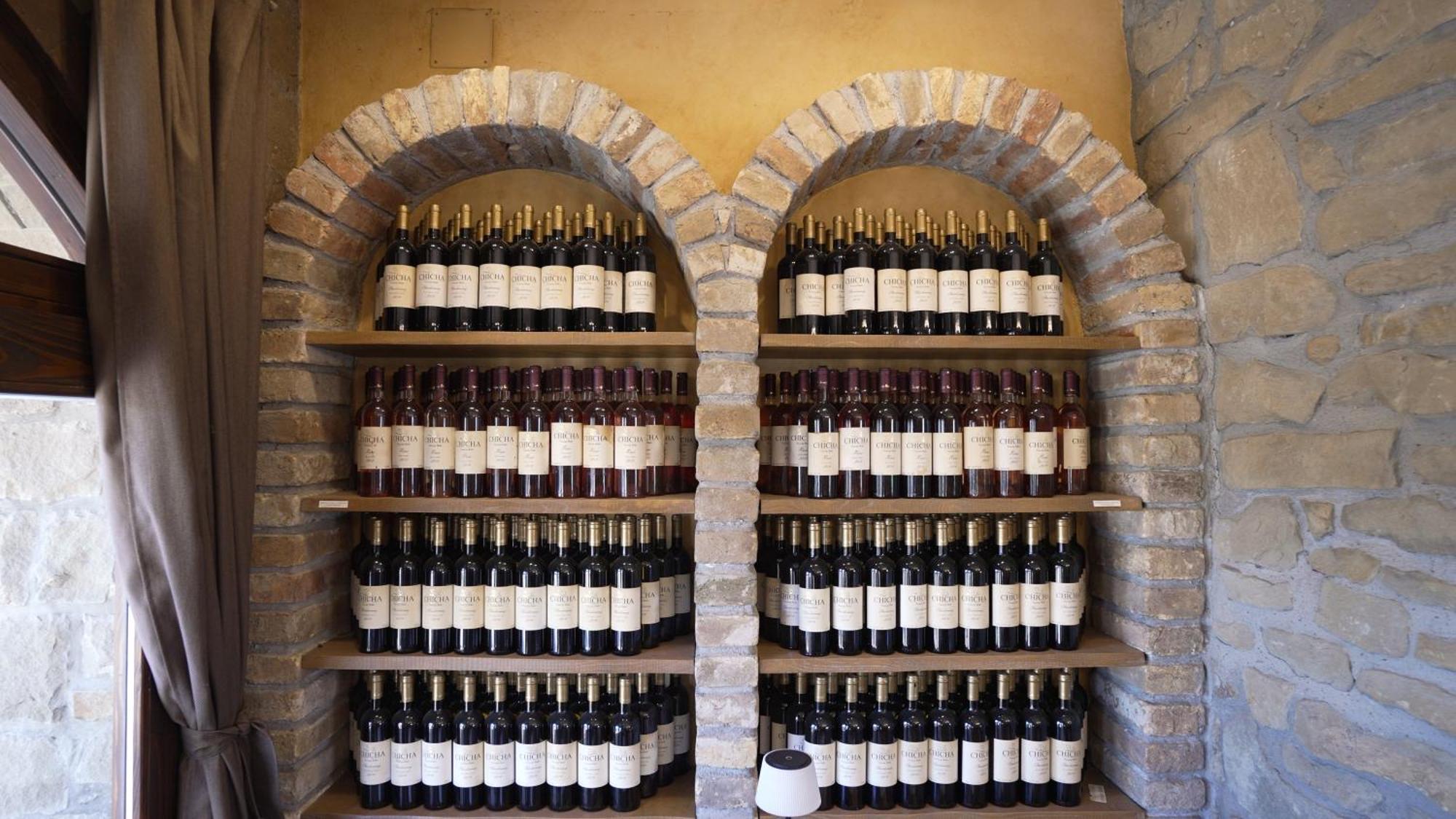 Garni Hotel Chicha - Winery Skrbic Belgrad Exteriör bild